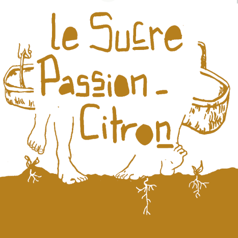 Sucre Passion & Citron