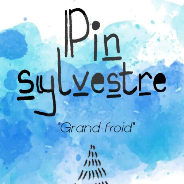 Coffret Pin sylvestre "Grand froid"