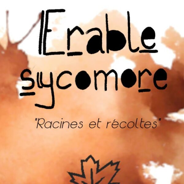 Coffret Erable sycomore "Racines et récoltes"