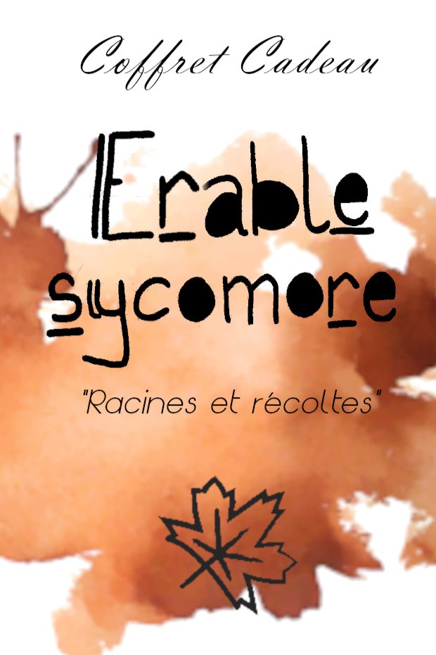 Coffret Erable sycomore "Racines et récoltes"