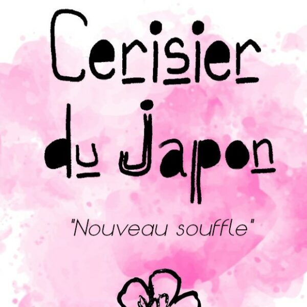 Cerisier du japon "Nouveau Souffle"