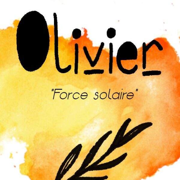 Coffret Olivier "Force solaire"