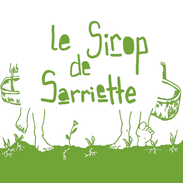 Sirop de Sarriette