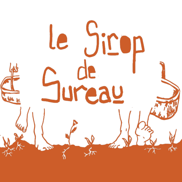 Sirop de Sureau