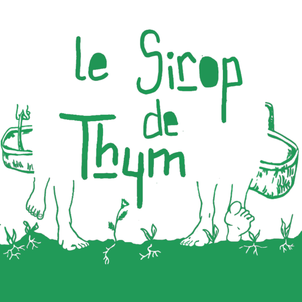 Sirop de Thym