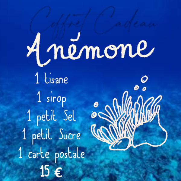 Coffret "Anémone''